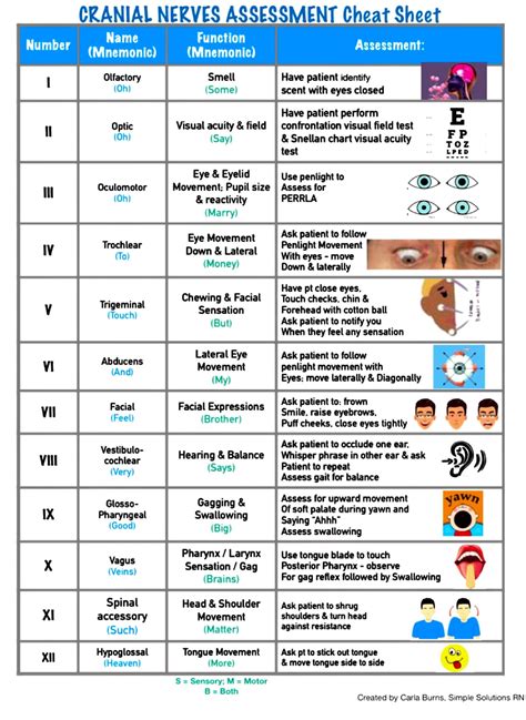 optic nerve health test